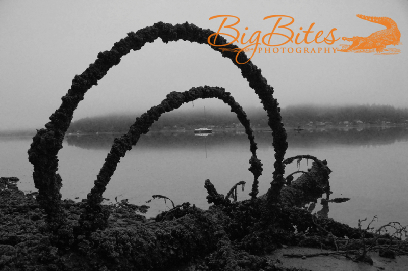 In-the-circle-b-and-w-Washington-Big-Bites-Photography