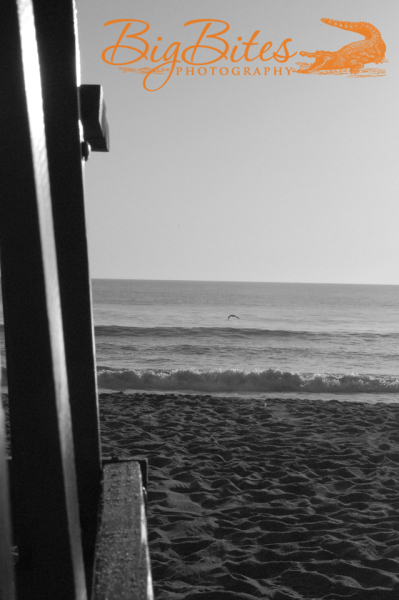 Lifeguard-Stand-b-and-w-Florida-Beach-Big-Bites-Photography