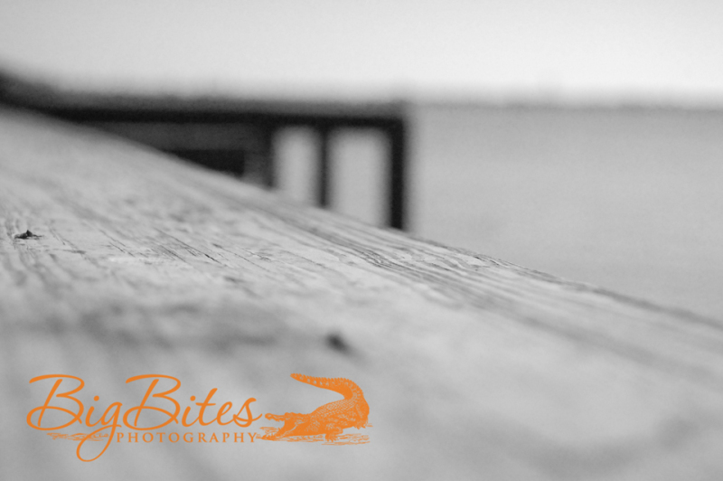 Long-Dock-b-and-w-Florida-Big-Bites-Photography