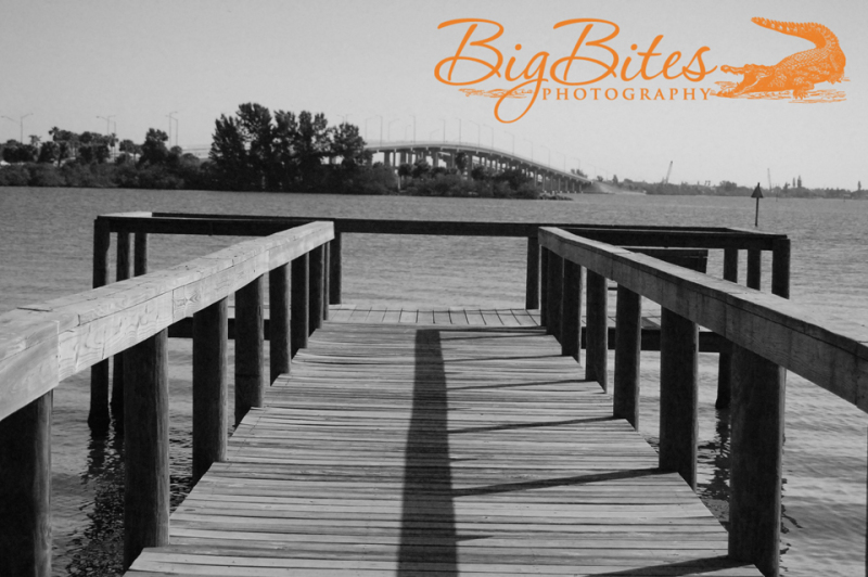 Melbourne-Dock-and-Bridge-b-and-w-Big-Bites-Photography