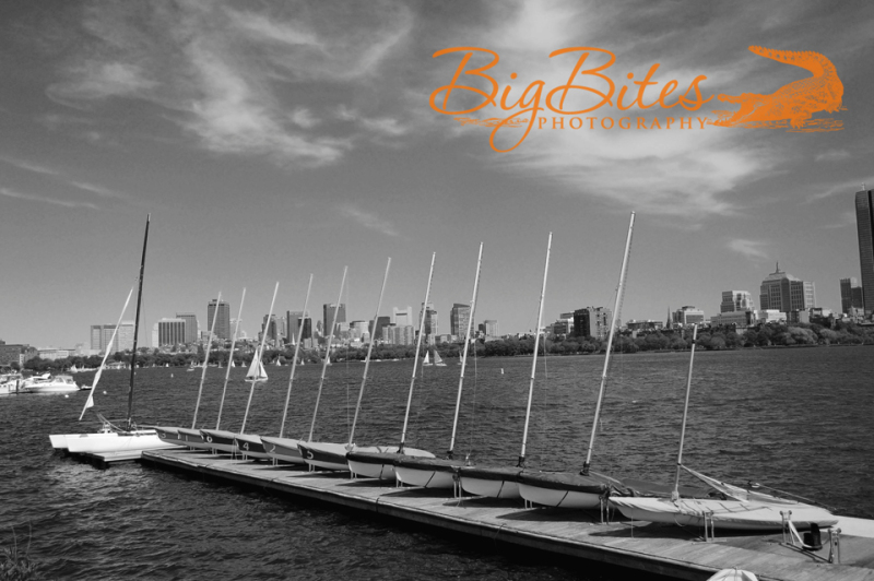 More-boats-in-a-row-bw