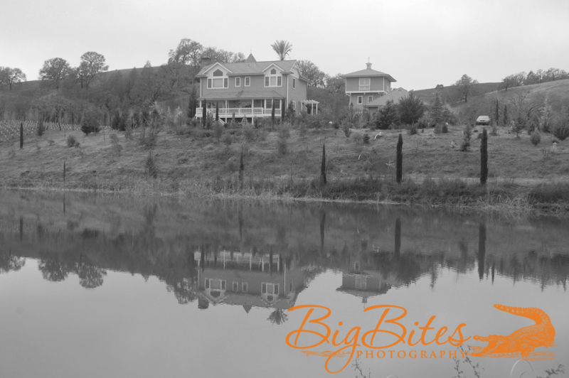 Reflections-b-and-w
