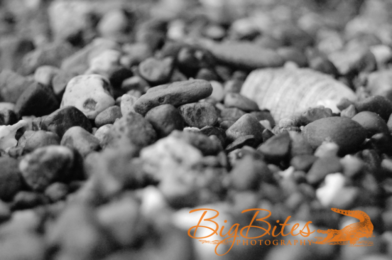 Rocks-b-and-w-Big-Bites-Photography