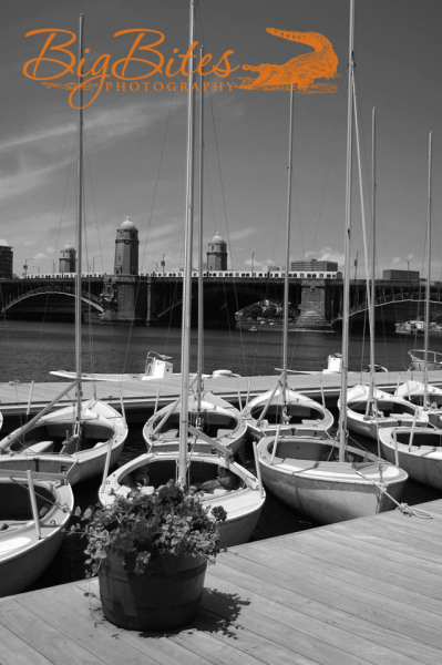 Sailboat-School-b-and-w-Boston-Big-Bites-Photography