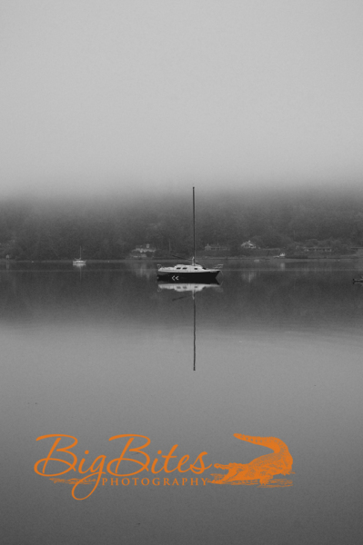 The-Sound-Part-2-b-and-w-Washington-Big-Bites-Photography