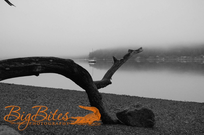 The-Sound-b-and-w-Big-Bites-Photography