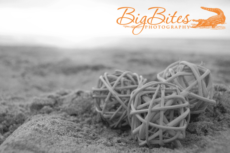 Three-Spheres-b-and-w-Florida-Beach-Big-Bites-Photography