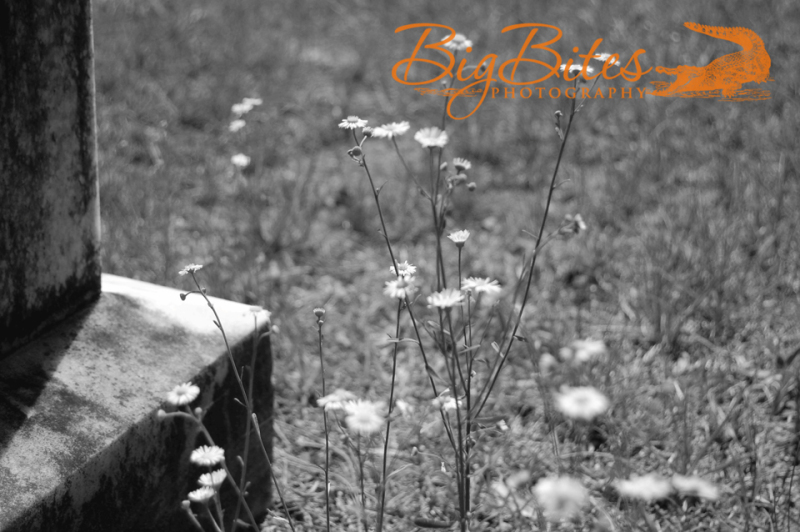 Tombstone-flowers