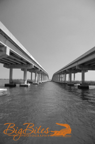 Two-Bridges-and-Water-b-and