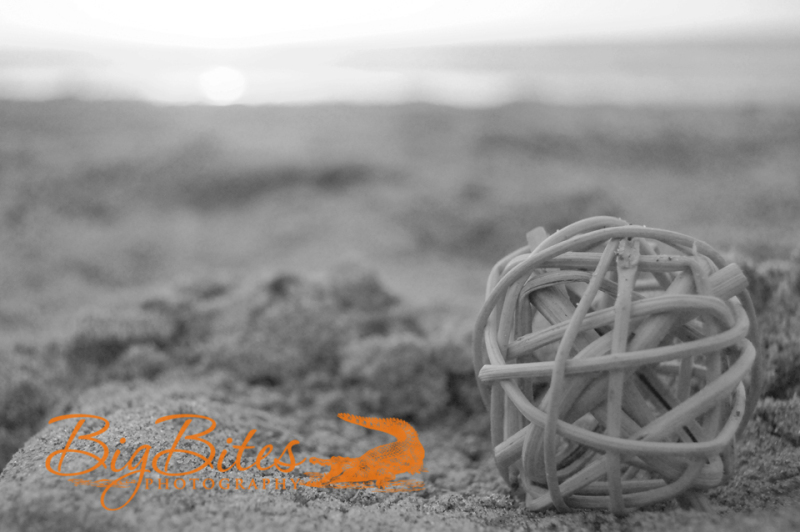 Two-Spheres-b-and-w-Florida-Beach-Big-Bites-Photography