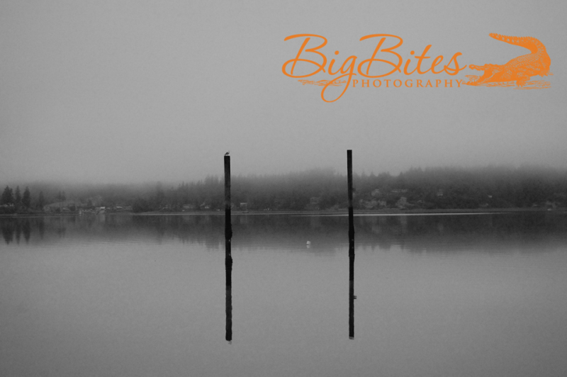 Two-poles-and-a-bird-b-and-w-water-Big-Bites-Photography
