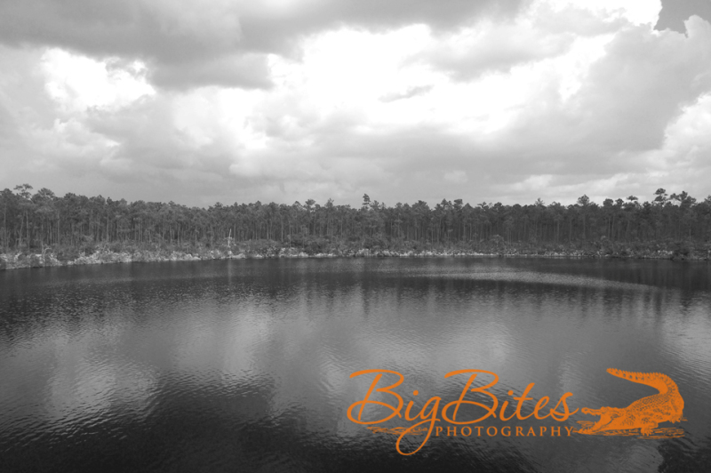 blue-hole-b-and-w-Bahamas-Big-Bites-Photography