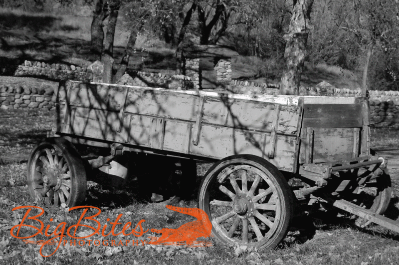 c20-wagon-black-and-white-big-b