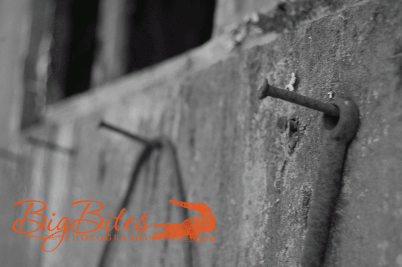 nail-and-concrete