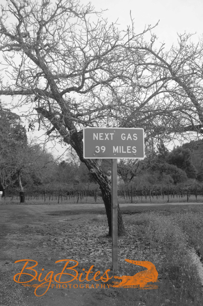 next-gas-b-and-w-Napa-California-Big-Bites-Photography