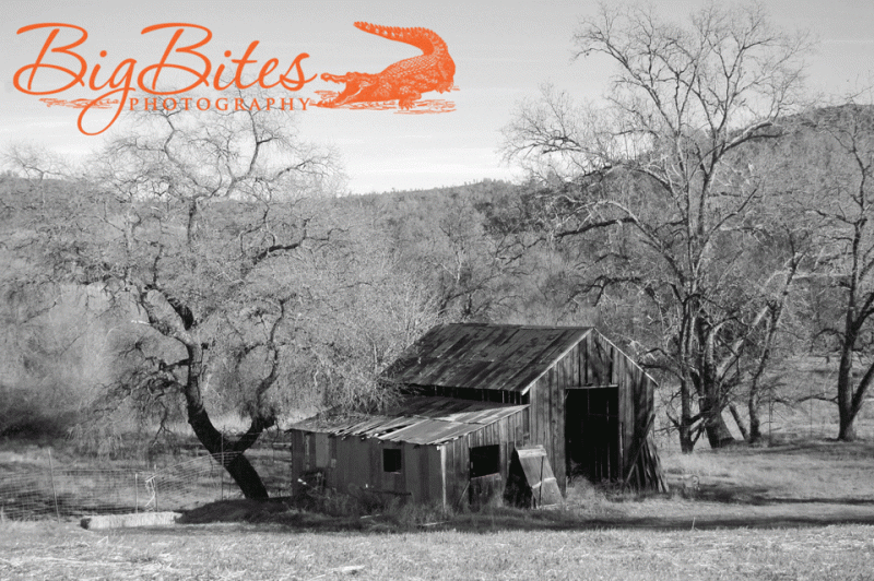 old-barn-black-and-white-bi