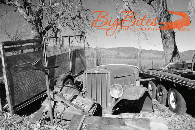 truck-and-california-junkya