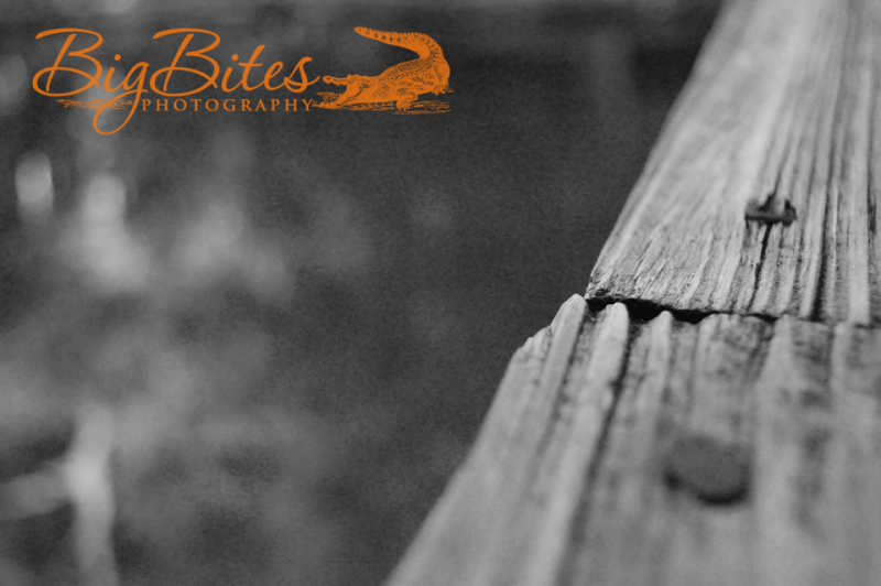 wood-and-water-bw