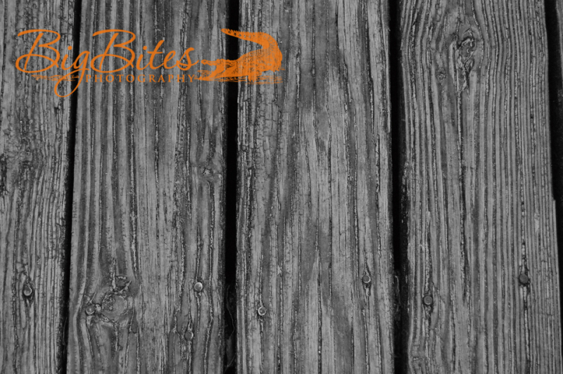 wood-bw