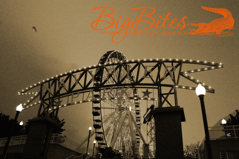 Navy-Pier