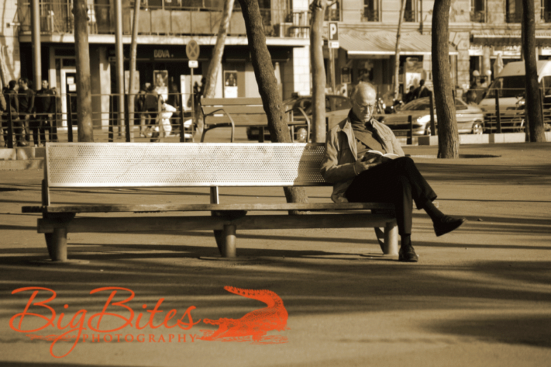 Barcelona-Reader-on-Bench