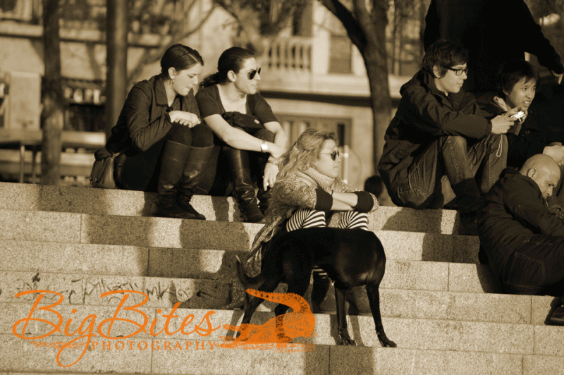 Dog-lady-and-music-listners