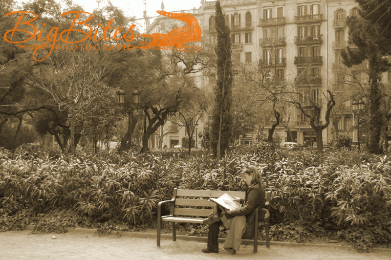 Reading-Lady-on-Bench