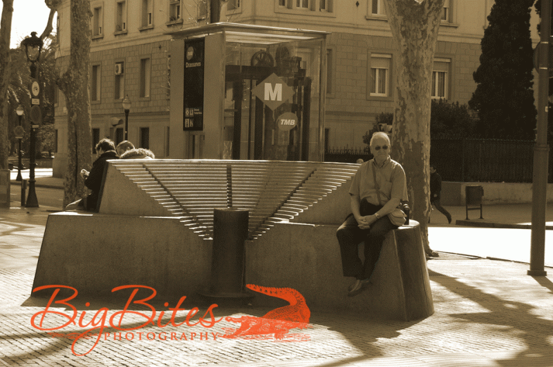 Sitting-in-the-Sun-Barcelon
