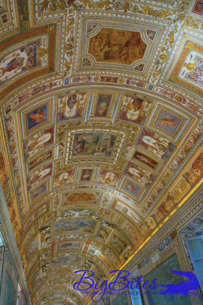 Vatican-4
