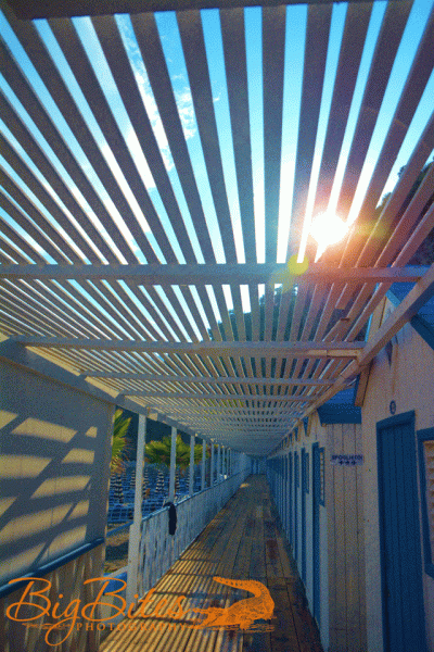 vietre-1