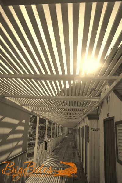 vietre-3