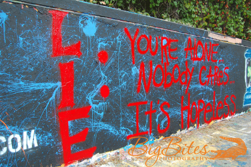 LIE-color