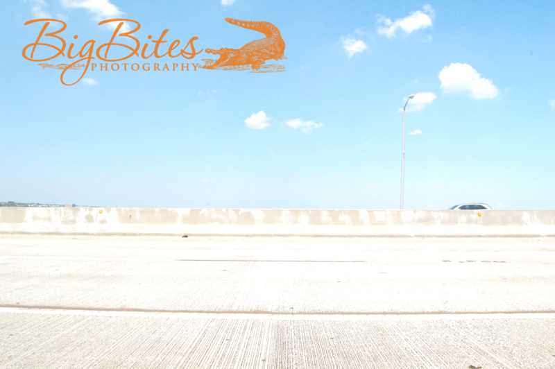 Bridge-and-Car-Big-Bites-Photography