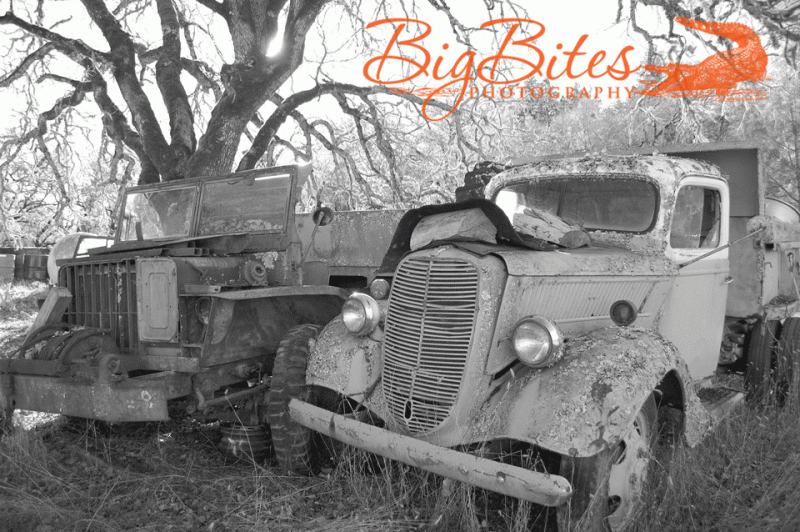Two-old-trucks-black-and-wh