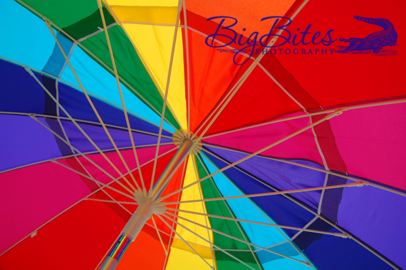 Big-Colored-Umbrella-Big-Bites-Photography