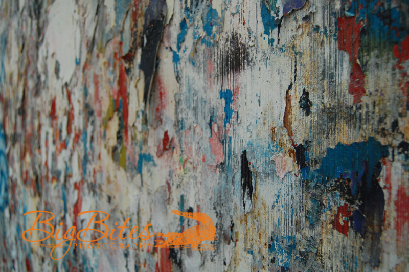 Graffiti-Wall-Gainesville-Florida