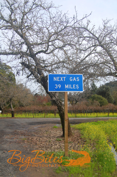 next-gas-color