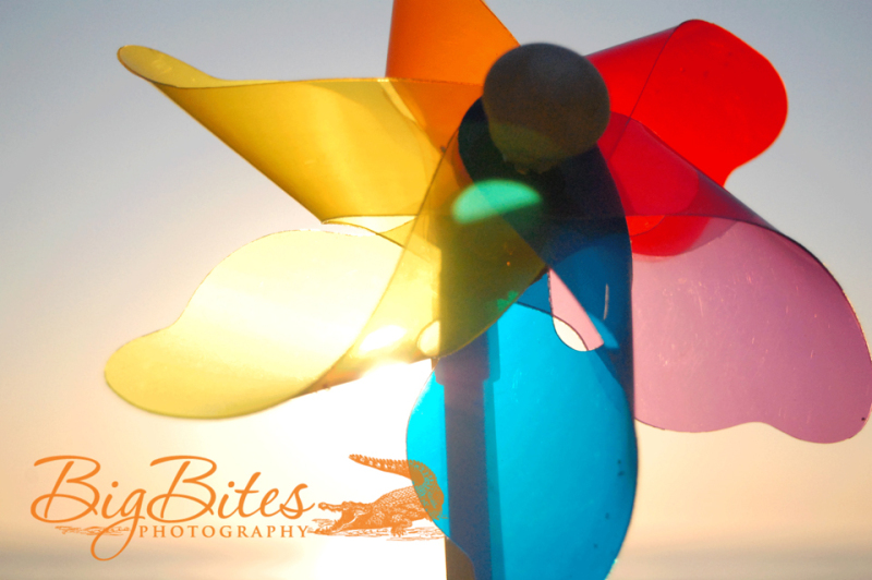 Another-SunCatcher-color-Big-Bites-Photography