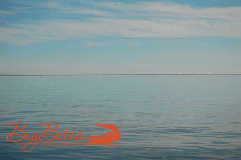Clearwater-2