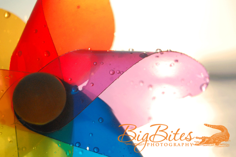 Half-of-a-wet-pinwheel-Big-Bites-Photography