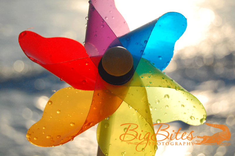 Wet-Pinwheel-Florida-Beach-Big-Bites-Photography