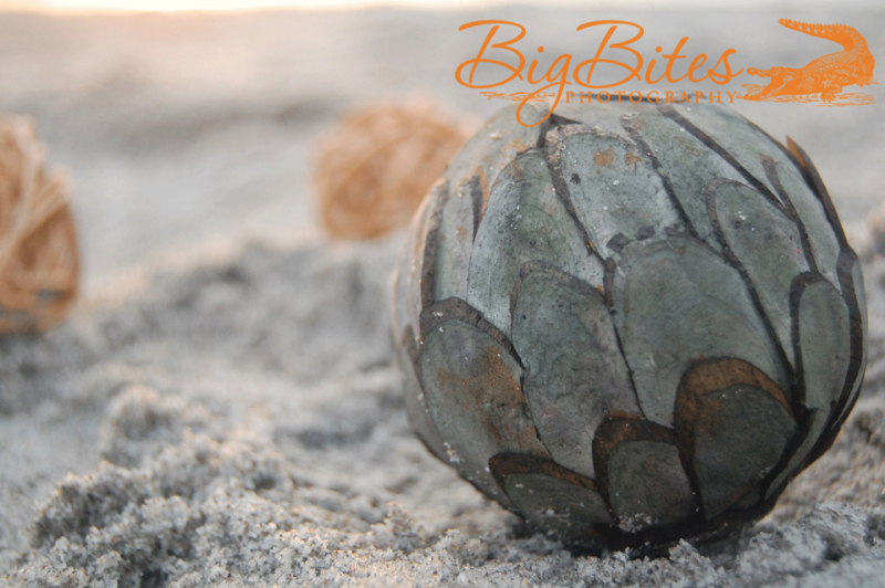Multiple-Spheres-color-Florida-Beach-Big-Bites-Photography