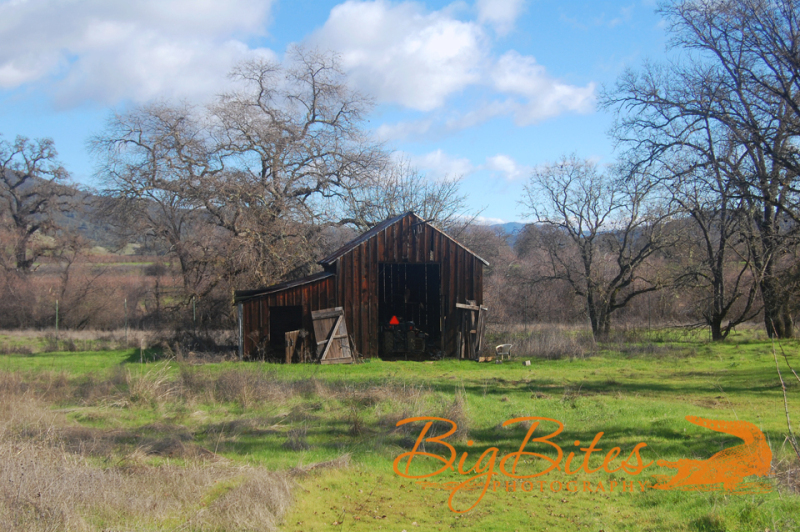 Napa-California-Old-Barn-and-field-Big-Bites-Photography