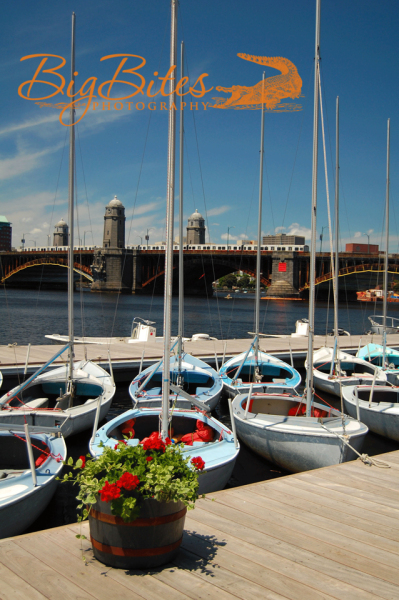 Sailboat-School-color-Boston-Big-Bites-Photography
