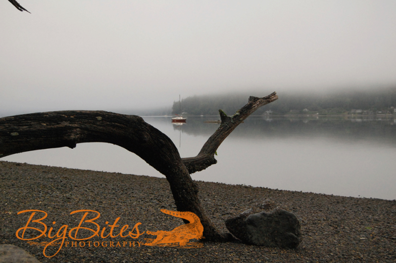 The-Sound-color-Big-Bites-Photography