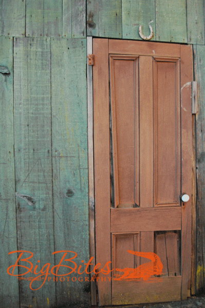 horseshoe-door