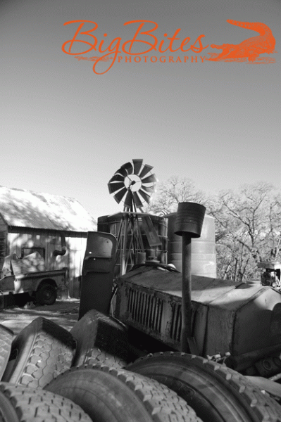 pinwheel-junkyard-black-and
