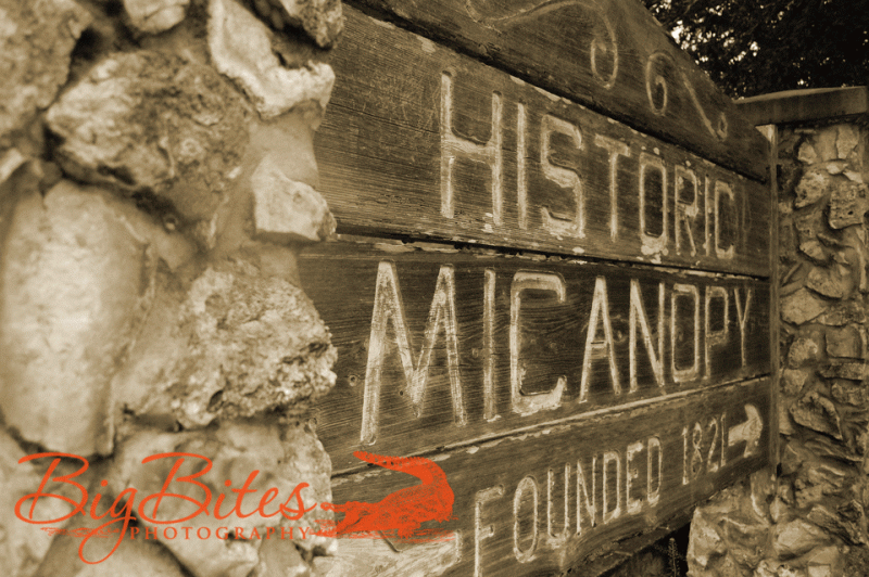 Micanopy