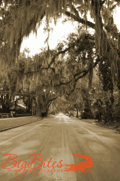 Road