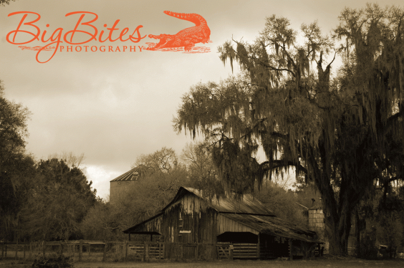 barn